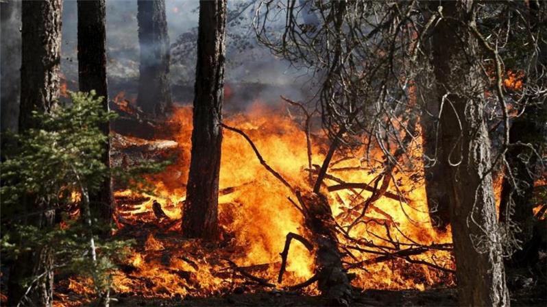 stato massima pericolosità incendi boschivi