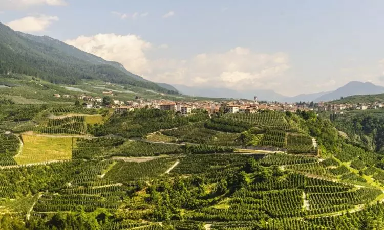 Variazioni Reddito Dominicale 2026