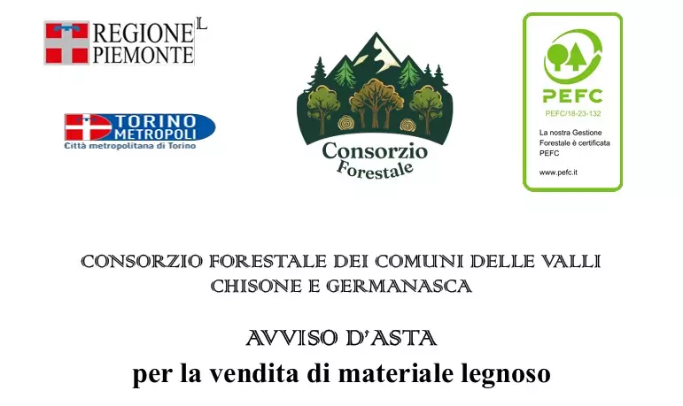 AVVISO D'ASTA