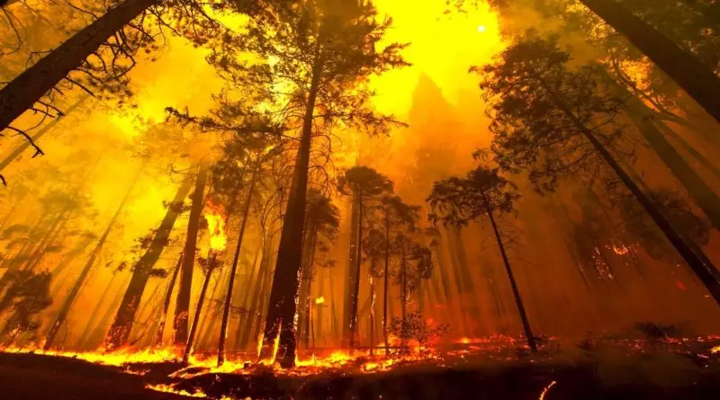 Allerta Incendi Boschivi